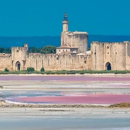 Studio En Petite Camargue Le Cailar Екстериор снимка