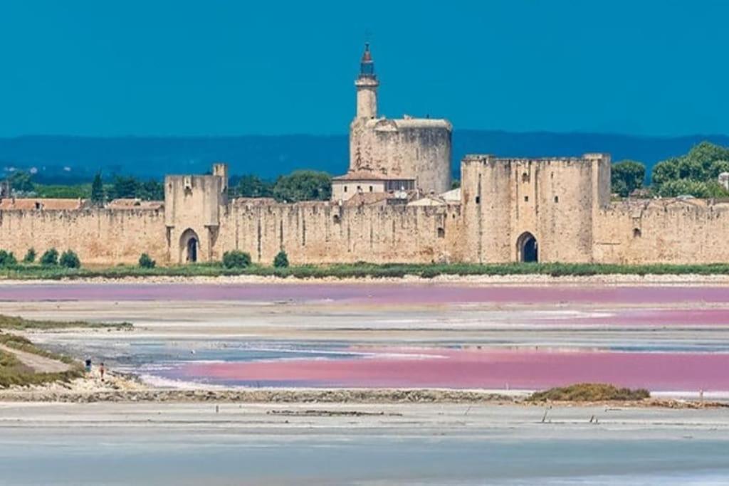 Studio En Petite Camargue Le Cailar Екстериор снимка